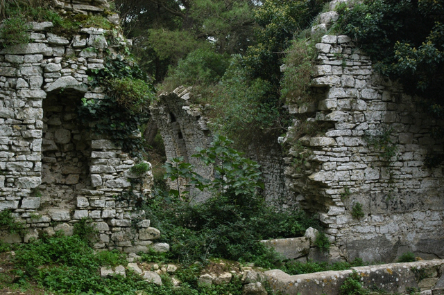 DSC_5392_00102