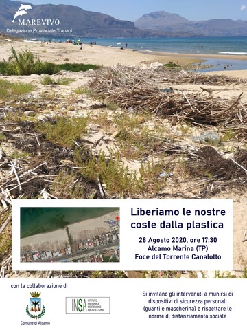 Pulizia Spiaggia tratto di costa del Torrente Canalotto a Cura dell’Associazione Mare vivo con la collaborazione dell’Amministrazione 