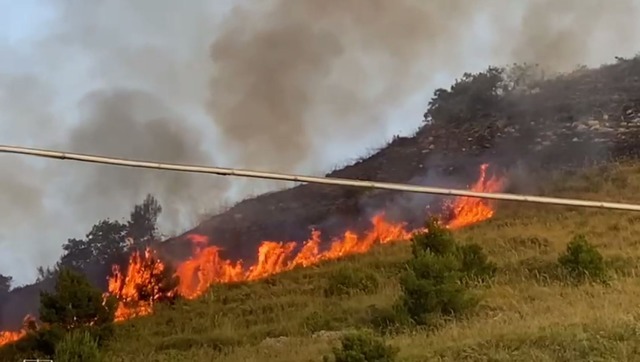 Incendio a Monte Bonifato